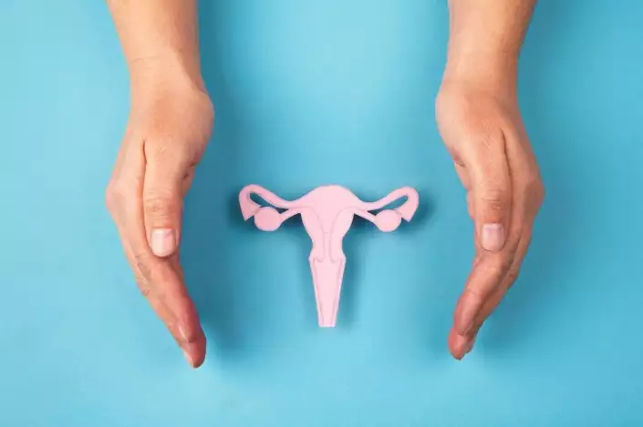 Cos'è la Vaginoplastica (Labioplastica)? Risultati e Costi